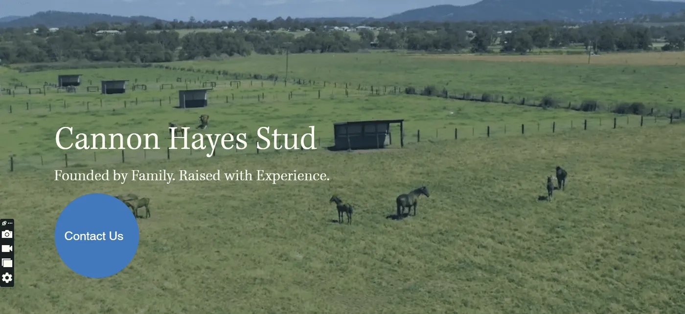 Cannon Hayes Stud: Equine & horse sales