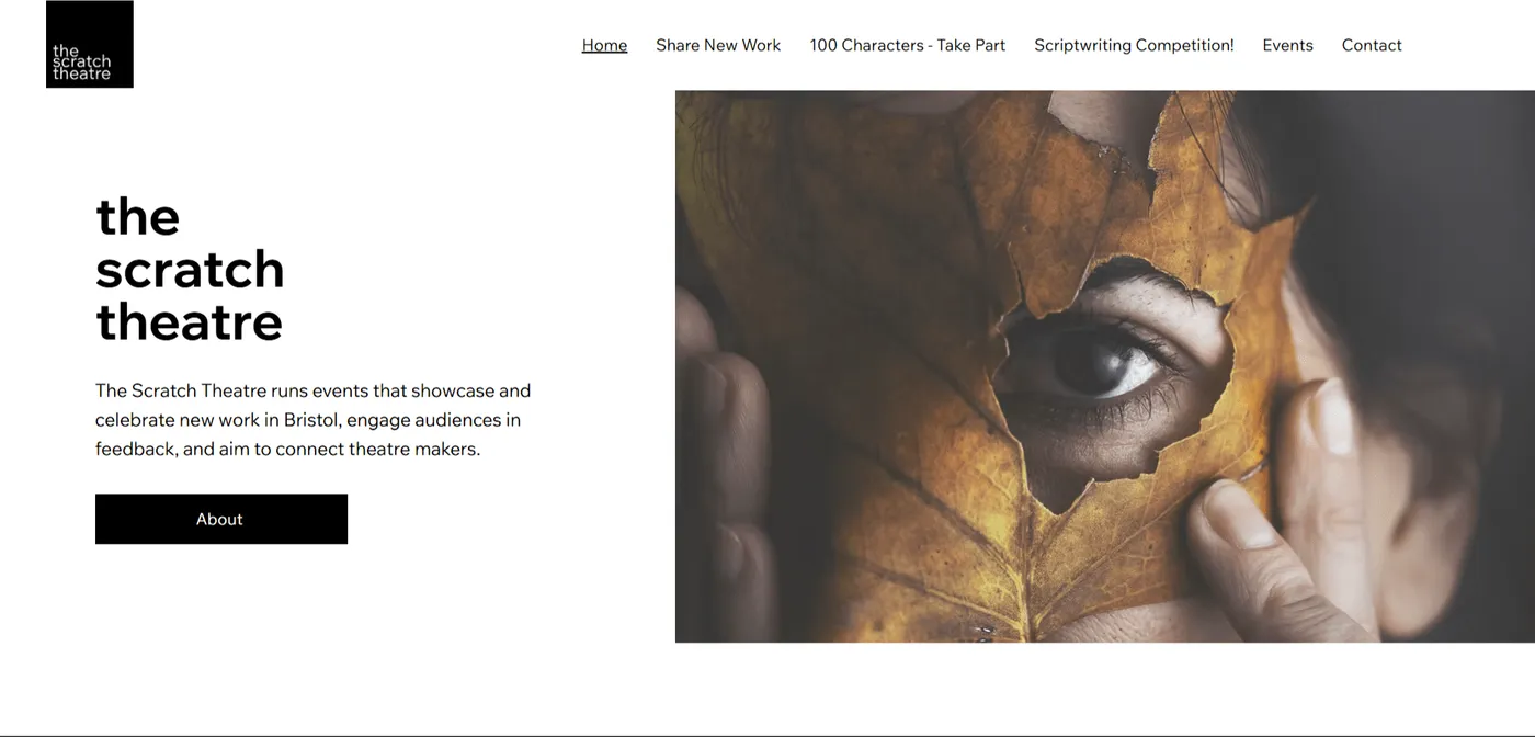 The Scratch Theatre website design